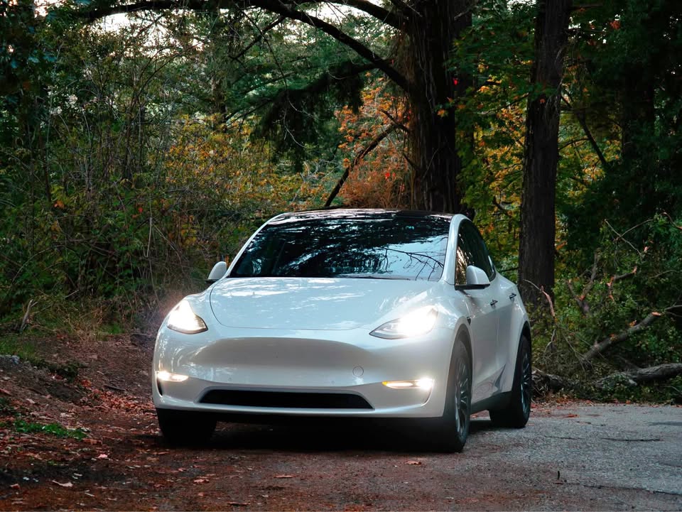 Tesla Model 3/Y Luxury Suspension Retrofits Installed