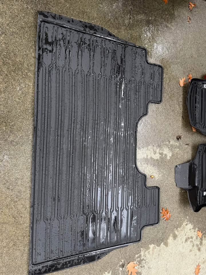 Original Ford TPE mats. Only had them for a year but didn't drive much.
